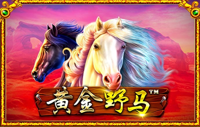 半岛体体育综合aPP